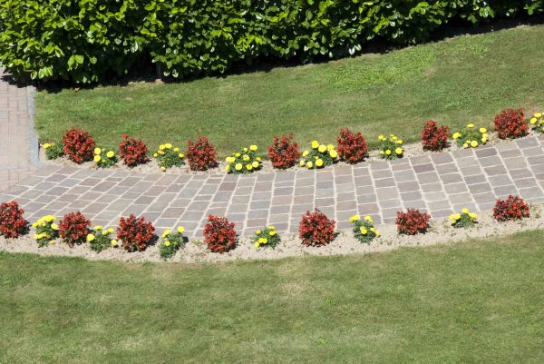 Cost of Garden Paving in Vienna
