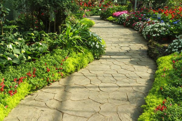 Cost of Stone Pathway Service in Vienna